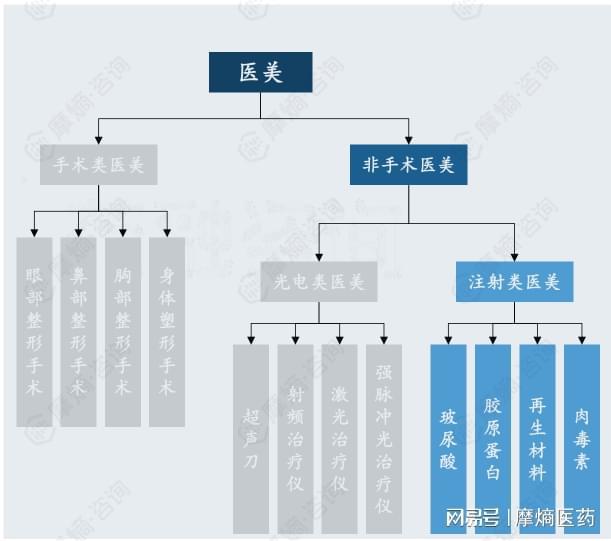 皮肤护理颜值经济下的中国医美行业：百亿蓝海市场外资主导与国产突围！(图4)